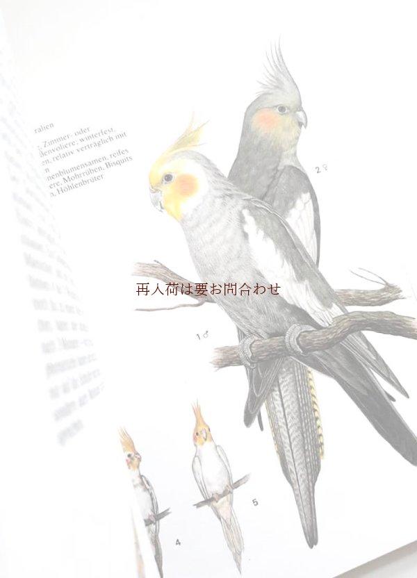 ヨーロッパ 古書 販売 鑑賞鳥 動物 生物 インテリア 図鑑 トロピカル 鳥 オウム インコ