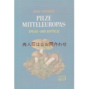 画像: 楽しい古本　★中央ヨーロッパのキノコ図鑑　　　60年代　カラフル　　きのこ　　イラスト　80点　　7色印刷　　イメージ　　　