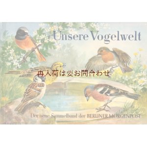 画像: アートな古本★　自然　野鳥　小鳥　可愛い鳥と植物の本　イラスト多数　50年代　図鑑