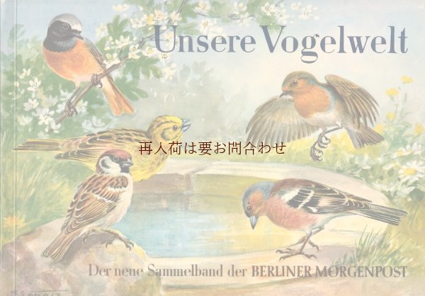 画像1: アートな古本★　自然　野鳥　小鳥　可愛い鳥と植物の本　イラスト多数　50年代　図鑑