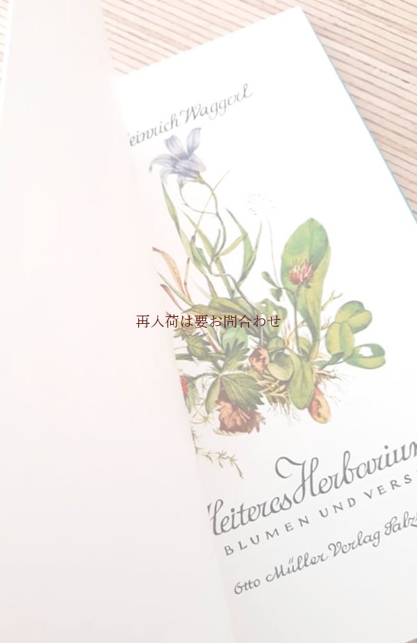 画像1: ボタニカル★　小さな花と詩の本　ハーバリウム　ナチュラルイラストの素敵な古書　　水彩　　　