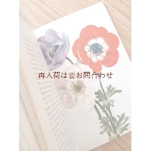 画像: ボタニカル古本★　 ボタニカル　　アート　植物画　花図鑑　　球根や塊茎をもつ花々の本　　８８図版　　DAUSIEN