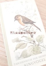 画像: 確保品★　ナチュラル　シャビー　小鳥　鳴鳥　の本　イラスト多数　50年代