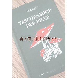 画像: アンティーク　洋書★1949年　キノコ　ガイド　きのこ　カラーイラスト TASCHEN BUCH DER PILZE  W.CLEFF