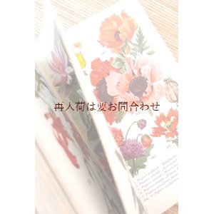 画像: ボタニカル　古本★　カラフルな植物図鑑　ボタニカル　植物画多数　アート　　957点　美　イラスト