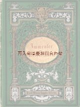 画像: アンティーク洋書★エンボス　小さな美装丁本　テオドール　・シュトルム　　小説　みずうみ　インメン湖　