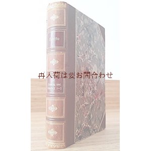 画像: アンティーク洋書☆ 豪華背表紙　四隅革装　　カット面　　ゲーテ　自伝　詩と真実　Dichtung und Wahrheit 