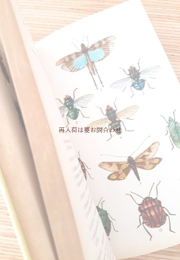 画像1: アートな古本★　楽しい昆虫学の本　60年代　 昆虫の本　白黒　カラーイラスト　一部白黒写真　