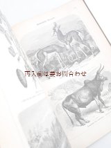 画像: アンティーク洋書★ヨーロッパ以外の世界の地理　風景　街並み　動物　民族　木版画イラストページ多数　1902年