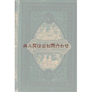 画像: アンティーク洋書★エンボス　薔薇や白鳥モチーフ　美装丁本　　小説　Soll und Haben 『借りと貸し』 (2)