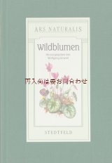 画像: ご予約確保品　ボタニカル 洋古書☆　　草花　野草の本　イラスト　野の植物に関する図鑑　　　植物画　イラスト　多数