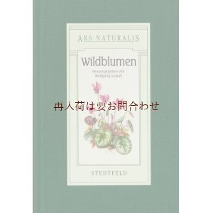 画像: ご予約確保品　ボタニカル 洋古書☆　　草花　野草の本　イラスト　野の植物に関する図鑑　　　植物画　イラスト　多数