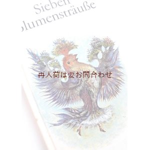 画像: アートな洋書★　詩集　怪しいイラストが素敵な　幻想的な自然・動物イラストの古書