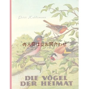 画像: アートな古本★　故郷の鳥図鑑　小鳥　野鳥　ドイツの鳥図鑑　イラスト多数　50年代　