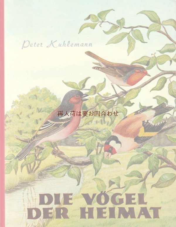 画像1: アートな古本★　故郷の鳥図鑑　小鳥　野鳥　ドイツの鳥図鑑　イラスト多数　50年代　
