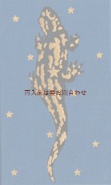 画像: アートな洋書☆Labowski　小説　短編集　幻想的なイラスト　星とサラマンダー柄　リネン表紙　豪華イラストページ付き短編集