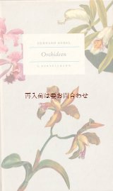 画像: ボタニカル　洋書☆　50年代　ヴィンテージボタニカルブック　欄　美しい蘭の図鑑　植物　水彩イラスト　　24図版　