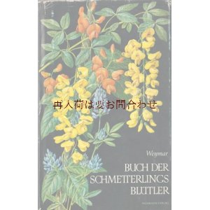 画像: ボタニカル古本★　イラスト多数　植物図鑑　マメ亜科　 豆　植物  　シャビーな古書　７０年代