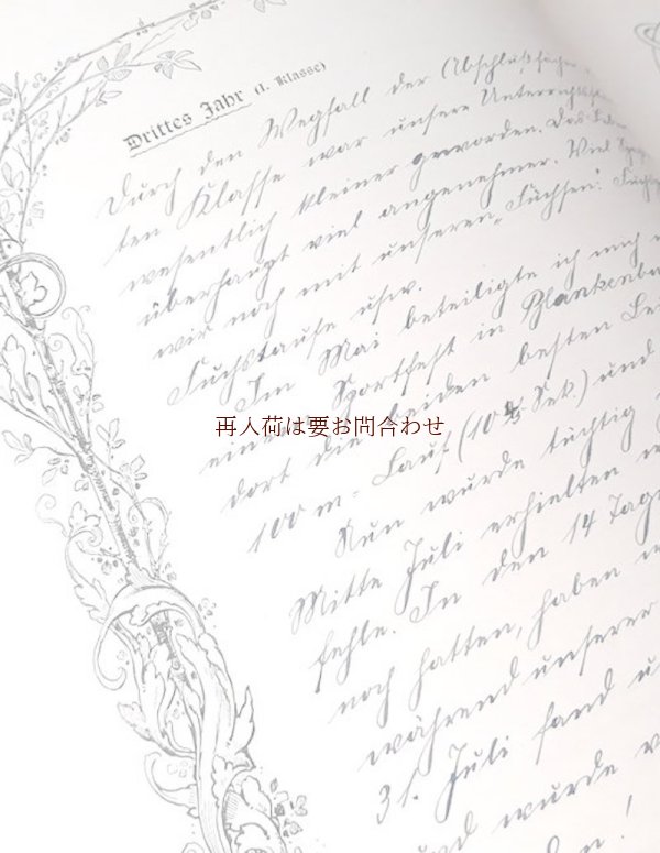 画像1:  再販不可　アンティーク年代記★　美しい筆跡　手書きのページを多数含む記録書  Lebens und Amts Chronik　人生と職場のクロニクル　