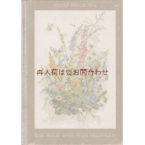 画像: アンティーク★貴重　森と草原の物語　ボタニカル　小動物　イラストの美しいアンティーク 1948年　