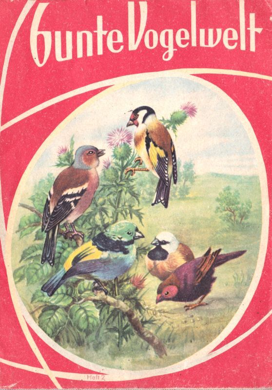 ヨーロッパ雑貨 図鑑 生物 小鳥 野鳥 自然 ガイド 古書 洋書